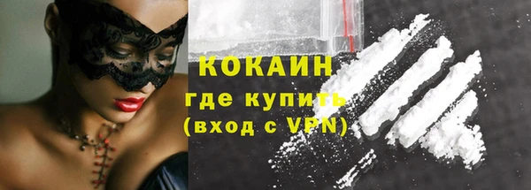 ешки Бородино